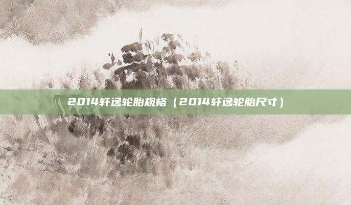 2014轩逸轮胎规格(2014轩逸轮胎尺寸)