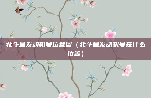 北斗星发动机号位置图（北斗星发动机号在什么位置）