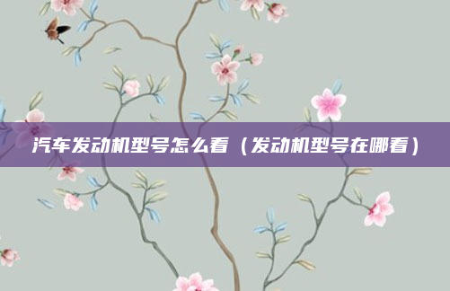 汽车发动机型号怎么看(发动机型号在哪看)