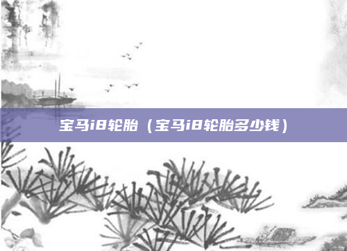 宝马i8轮胎(宝马i8轮胎多少钱)
