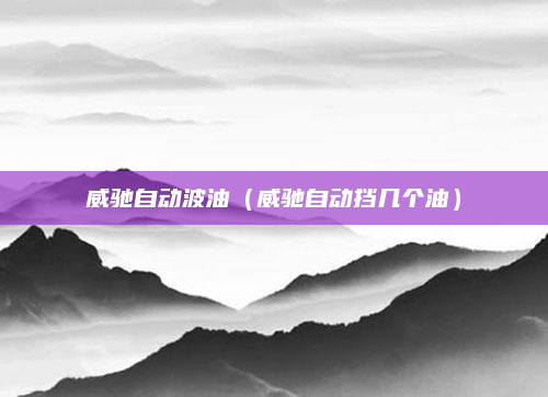 威驰自动波油(威驰自动挡几个油)