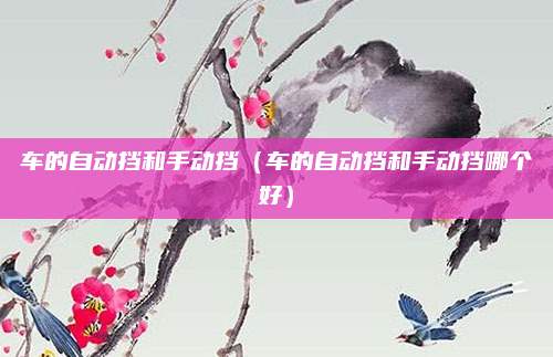 车的自动挡和手动挡(车的自动挡和手动挡哪个好)
