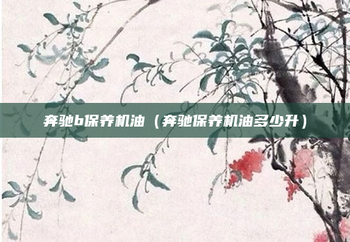 奔驰b保养机油(奔驰保养机油多少升)