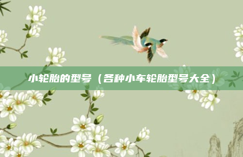 小轮胎的型号(各种小车轮胎型号大全)