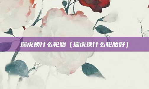瑞虎换什么轮胎（瑞虎换什么轮胎好）