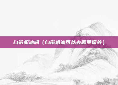 自带机油吗(自带机油可以去哪里保养)