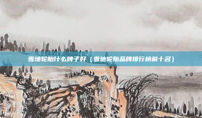 雪地轮胎什么牌子好（雪地轮胎品牌排行榜前十名）