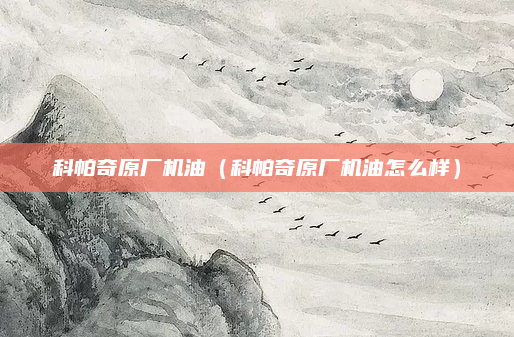 科帕奇原厂机油（科帕奇原厂机油怎么样）