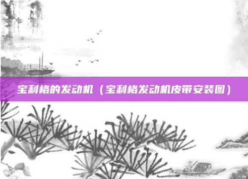 宝利格的发动机（宝利格发动机皮带安装图）