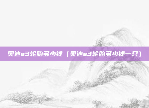 奥迪a3轮胎多少钱（奥迪a3轮胎多少钱一只）