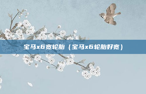 宝马x6宽轮胎（宝马x6轮胎好宽）