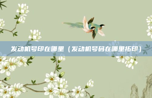 发动机号印在哪里(发动机号码在哪里拓印)