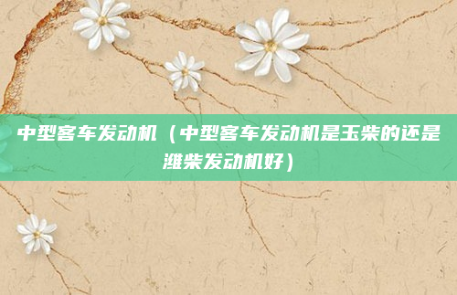 中型客车发动机(中型客车发动机是玉柴的还是潍柴发动机好)