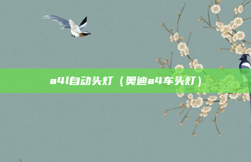 a4l自动头灯（奥迪a4车头灯）