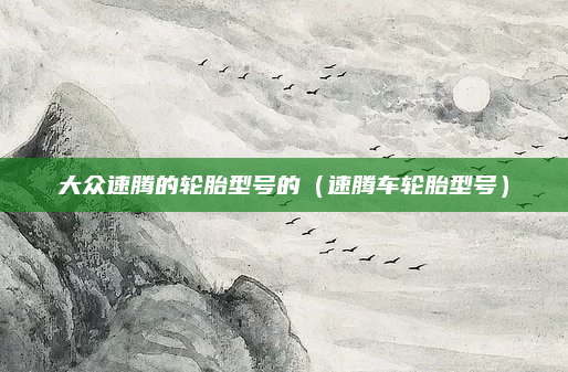 大众速腾的轮胎型号的(速腾车轮胎型号)