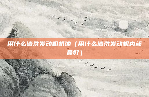 用什么清洗发动机机油(用什么清洗发动机内部最好)