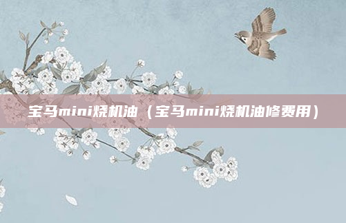 宝马mini烧机油（宝马mini烧机油修费用）