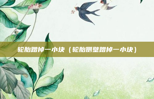 轮胎蹭掉一小块(轮胎侧壁蹭掉一小块)