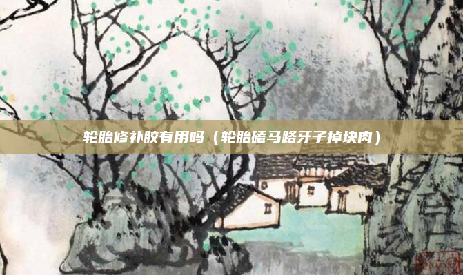 轮胎修补胶有用吗（轮胎磕马路牙子掉块肉）