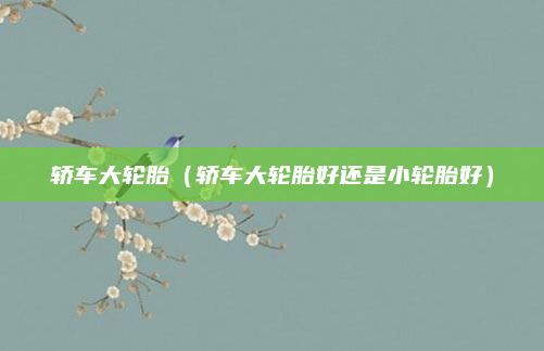 轿车大轮胎（轿车大轮胎好还是小轮胎好）