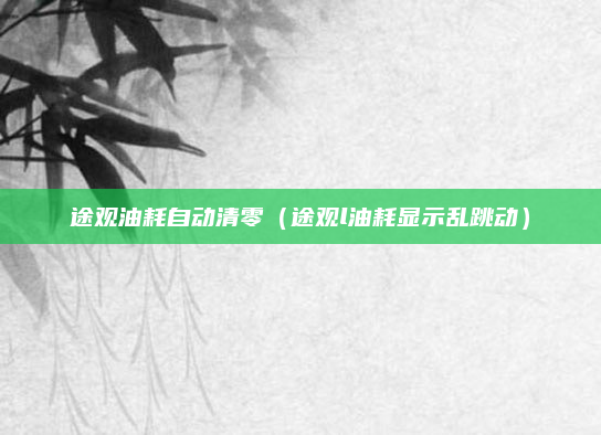 途观油耗自动清零（途观l油耗显示乱跳动）