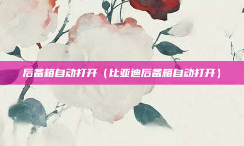 后备箱自动打开（比亚迪后备箱自动打开）