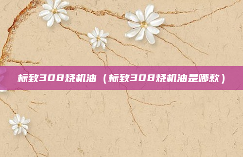 标致308烧机油（标致308烧机油是哪款）