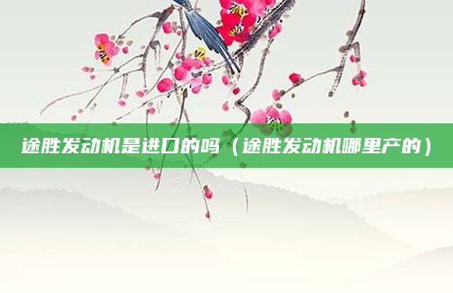 途胜发动机是进口的吗（途胜发动机哪里产的）