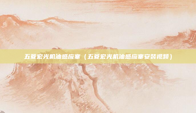 五菱宏光机油感应塞（五菱宏光机油感应塞安装视频）