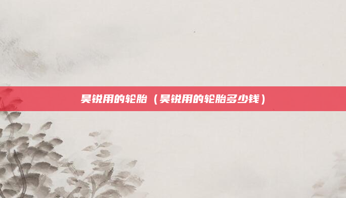 昊锐用的轮胎（昊锐用的轮胎多少钱）