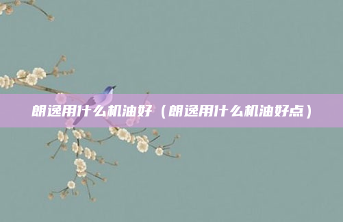 朗逸用什么机油好(朗逸用什么机油好点)