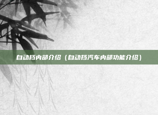 自动档内部介绍(自动挡汽车内部功能介绍)
