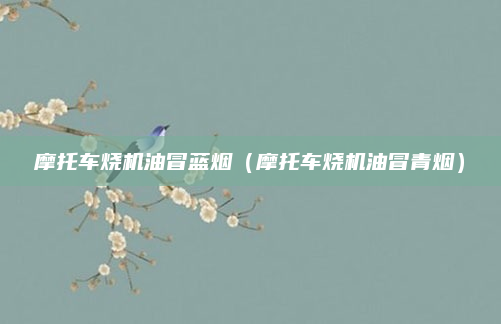 摩托车烧机油冒蓝烟（摩托车烧机油冒青烟）