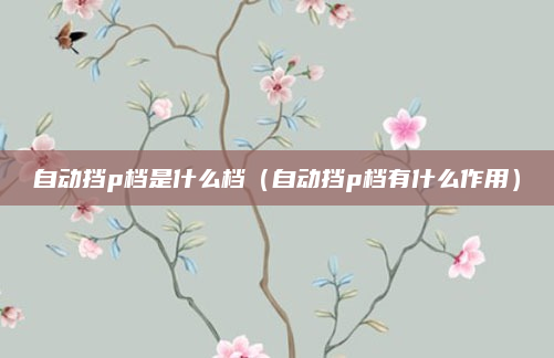 自动挡p档是什么档（自动挡p档有什么作用）
