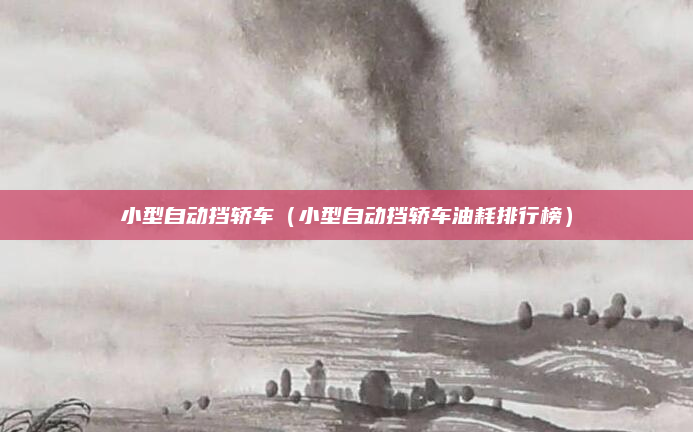 小型自动挡轿车(小型自动挡轿车油耗排行榜)
