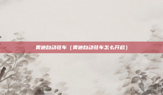 奥迪自动驻车（奥迪自动驻车怎么开启）