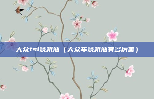 大众tsi烧机油(大众车烧机油有多厉害)