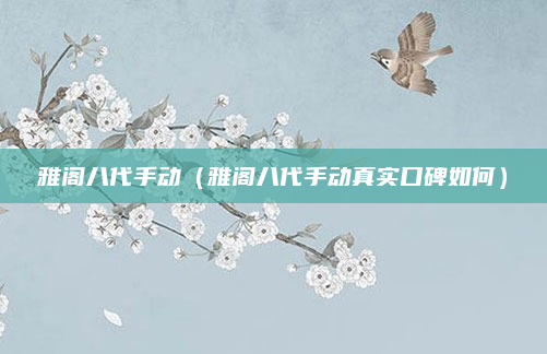 雅阁八代手动(雅阁八代手动真实口碑如何)