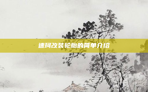 速珂改装轮胎的简单介绍