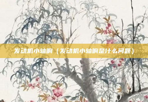 发动机小轴响（发动机小轴响是什么问题）