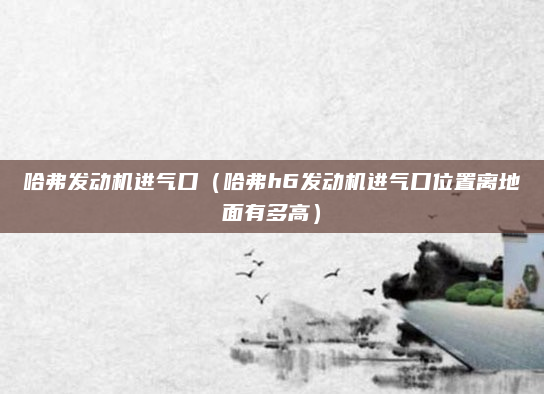 哈弗发动机进气口(哈弗h6发动机进气口位置离地面有多高)