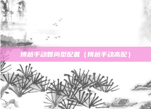 博越手动智尚型配置(博越手动高配)
