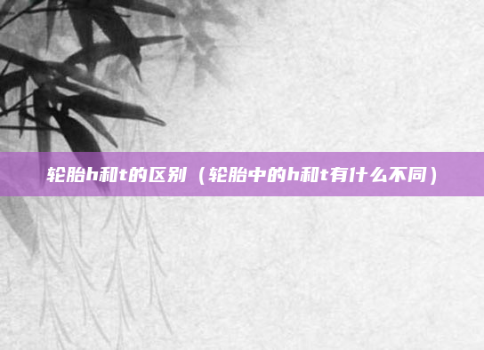 轮胎h和t的区别(轮胎中的h和t有什么不同)