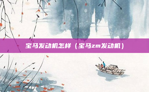宝马发动机怎样(宝马zm发动机)