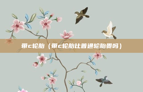 带c轮胎（带c轮胎比普通轮胎贵吗）