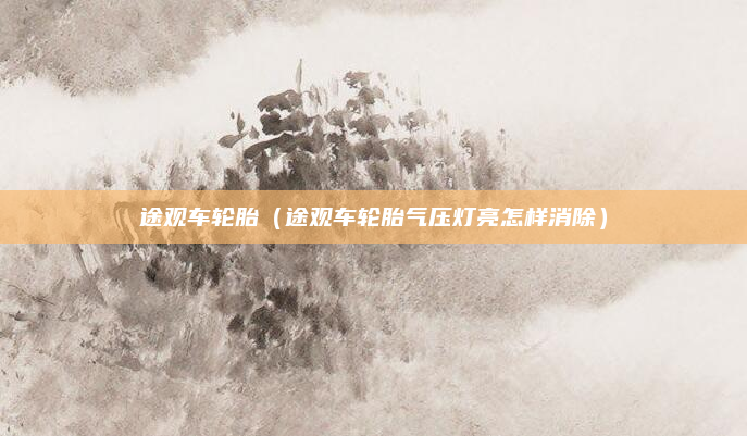 途观车轮胎（途观车轮胎气压灯亮怎样消除）