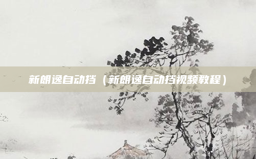 新朗逸自动挡（新朗逸自动挡视频教程）