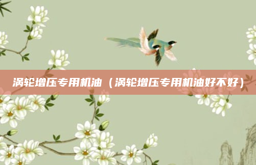 涡轮增压专用机油(涡轮增压专用机油好不好)