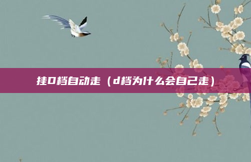 挂D档自动走(d档为什么会自己走)