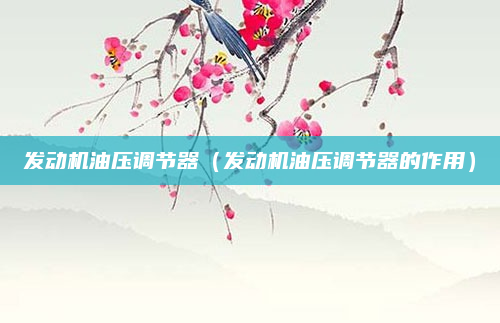 发动机油压调节器(发动机油压调节器的作用)